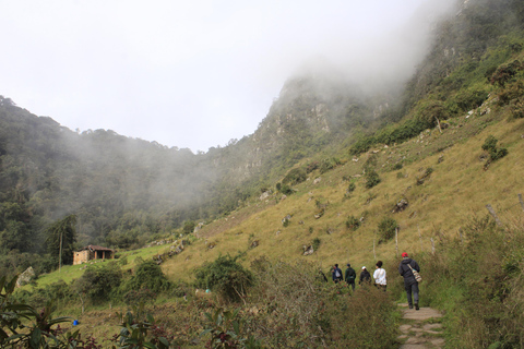 Bogotà: tour privato di un giorno alla collina di Monserrate e alla piantagione di caffèBogotà: tour privato di un giorno al Monte Monserrate e alla piantagione di caffè