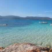 Desde San Teodoro: Excursión Diaria Tavolara, Degustación Y Delfines 