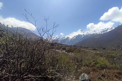 Kathmandu: 9-Day Langtang Gosaikunda Trek with Transfers 9DayLangTangGosain