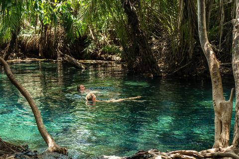 Arusha stad, Chemka HotSpring, Materuni waterval, koffietour