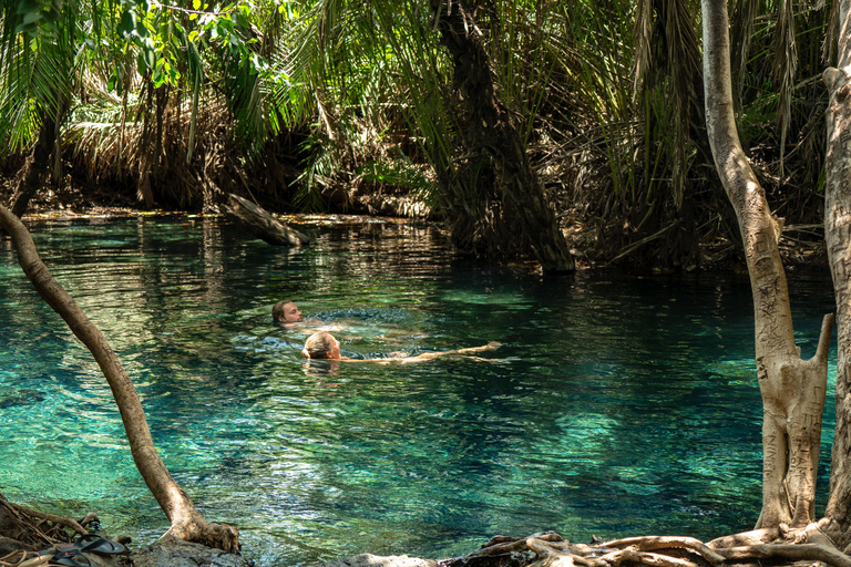 Arusha stad, Chemka HotSpring, Materuni waterval, koffietour