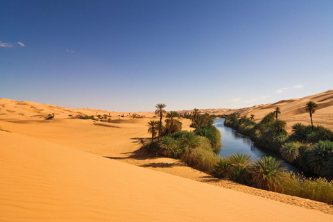 From Agadir/Taghazout: Sahara Sand Dunes with Transfer