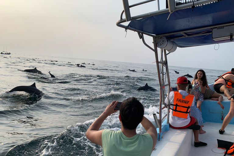 Puerto Escondido: Bootstour zu Delfinen und MeerestierenPrivate Tour
