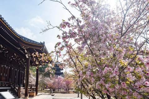 Tokyo: Mt. Fuji & Gotemba Premium Outlets Private Day Tour