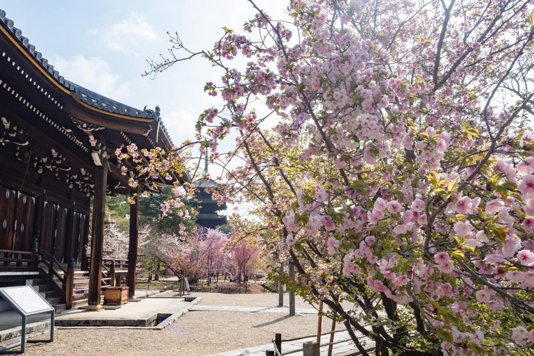 Tokyo: Mt. Fuji & Gotemba Premium Outlets Private Day Tour