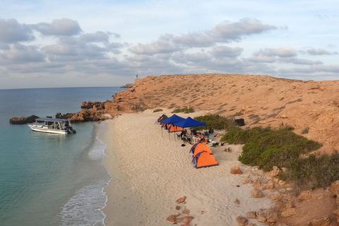 Excursions de plongée avec masque et tuba dans les îles Daymaniyat