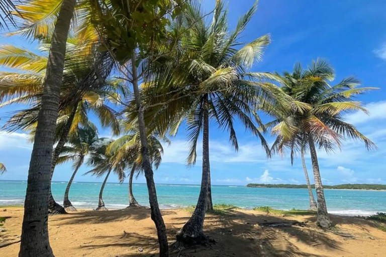 El Yunque &amp; Piñones Tour; Caminha, come e relaxa como um local