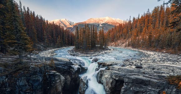 Icefield Parkway: Bow Lake & Peyto Lake Day Tour