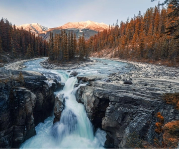 Athabasca Falls/Abraham, Sunwapta Falls, Icefield, Peyto Lake
