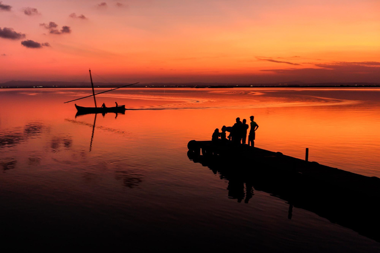 From Valencia: Albufera Tour with Paella, Boat Ride & Walk