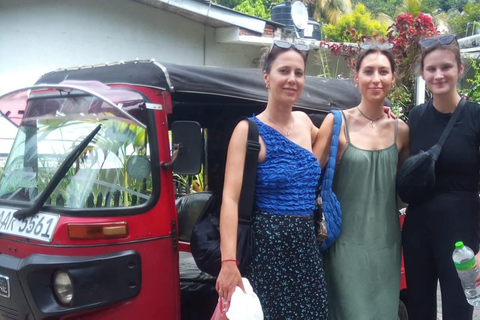 Kandy: Tuk Tuk City Tour Guide