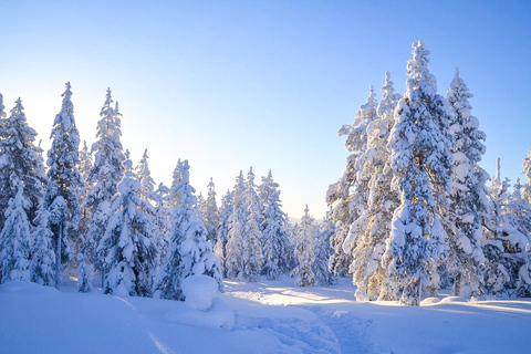 Familjevänligt: Tur till frusna vattenfall från Rovaniemi