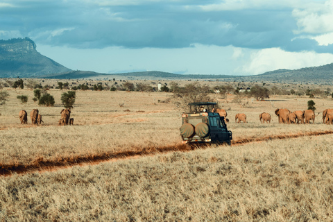 From Nairobi: 8-Day Kenya full package safari