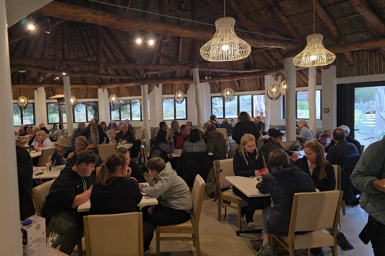 Cape Town: Cruise Passengers sunset Safari & Wine Tour