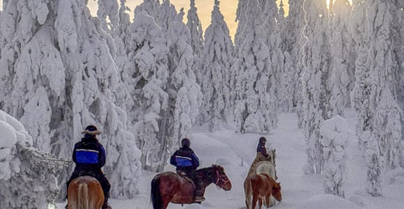 Rovaniemi: Horseback Ride & Lappish Lunch at Ranch