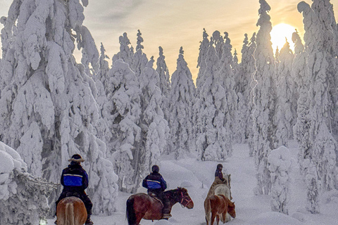 Rovaniemi: Horseback Ride & Lappish Lunch at Ranch