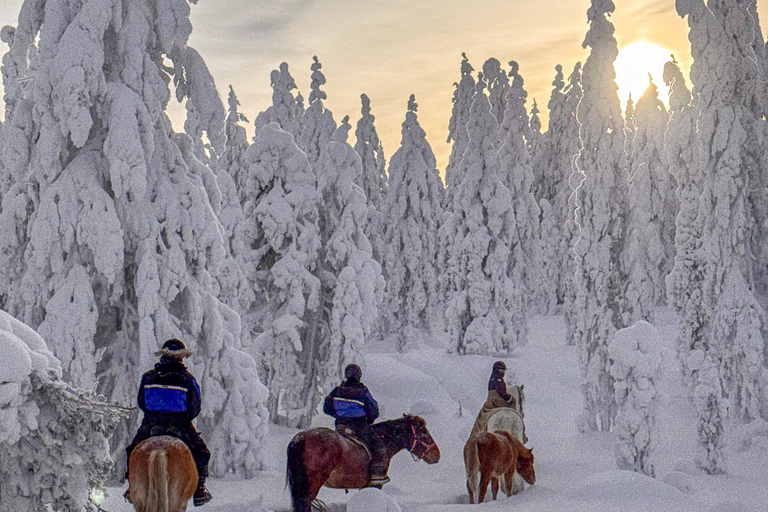 Rovaniemi: Horseback Ride & Lappish Lunch at Ranch