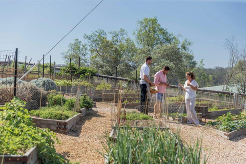 Brisbane: Spicers Hidden Vale Helicopter Charter