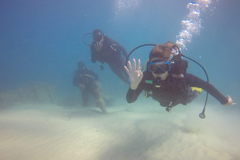 Hammamet: Guided Diving Experience with Hotel Transfer