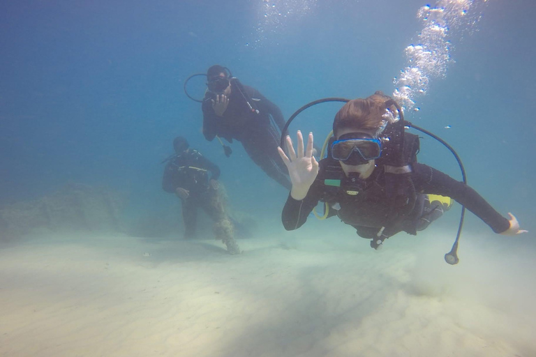 Hammamet: Guided Diving Experience with Hotel Transfer