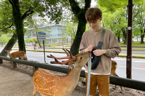 Nara: Halvdag med lokal guide – Big Buddha, hjort, helgedom, skogNara: Halvdag lokal guide- Stora Buddha, hjort, helgedom, skog