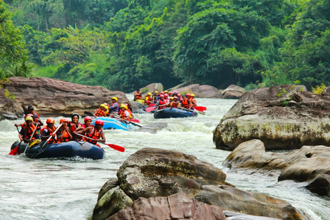 Adventure Experience A in Kitulgala