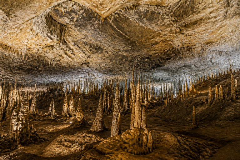 Guizhou: Zhijin Cave Entry Ticket & Sightseeing Shuttle Zhijin Cave: Admission + Shuttle + Safety Support