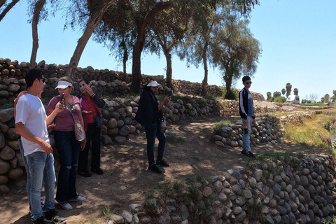 Nazca: Cantalloc Aqueducts - Archaeological Water System