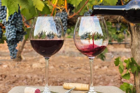 Bali: Winery Tour & Tasting
