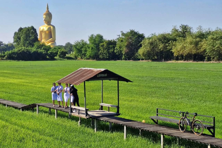 Ayutthaya & Thailand's Tallest Buddha Private Day Tour