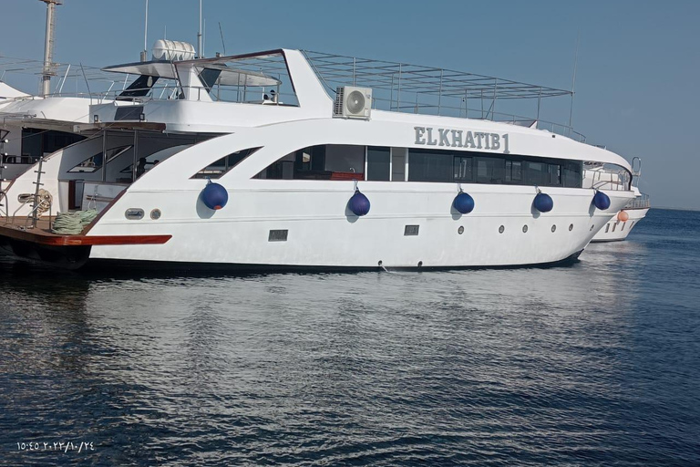 Hurghada: Dolphin Watching & Snorkeling Adventure with Lunch Dolphin Watching Boat Tour with Diving