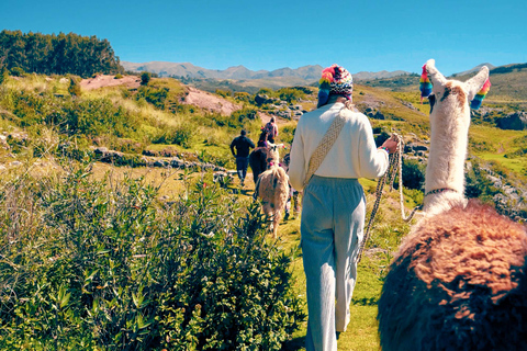 Magical rituals and the challenge of the Llamas