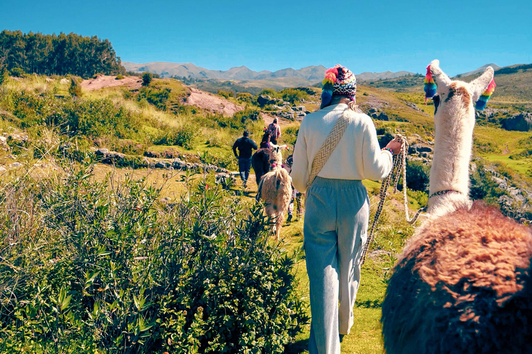 Magical rituals and the challenge of the Llamas