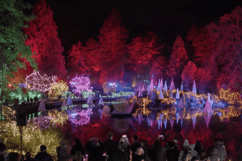 Vancouver : Tour en trolley des lumières de Noël avec karaoké