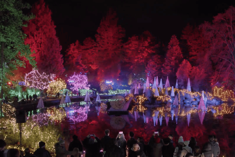 Vancouver: Kerstverlichting Karaoke Trolley Tour