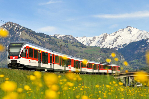 Zurich: Hardcore Swiss Train Tour–4 Scenic Railways in 1 day Excluding Train Tickets