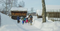 Maihaugen Open-Air Museum, Lillehammer. Entry Ticket - Housity