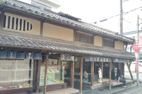 Nara: Discover Koriyama’s Goldfish Charm - 2-Hour