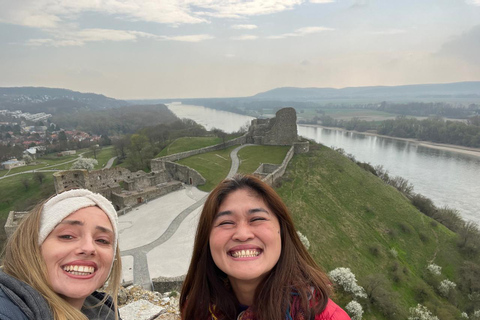 Bratislava: Devin Castle & Currant Wine Private Tour