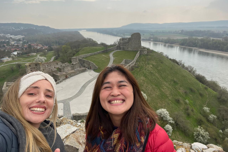 Bratislava: Devin Castle & Currant Wine Private Tour