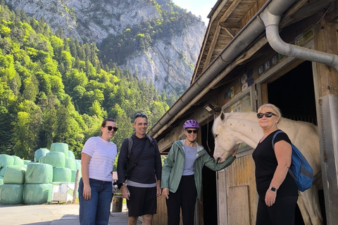 Interlaken Panoramic Tour by e-bike: Mountains, lakes, villages & pure idyll