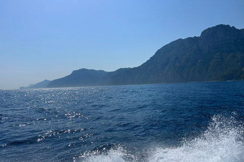 Amalfi Coast: Tour of the spectacular Amalfi Coast by sea DEPARTURE FROM TORRE DEL GRECO