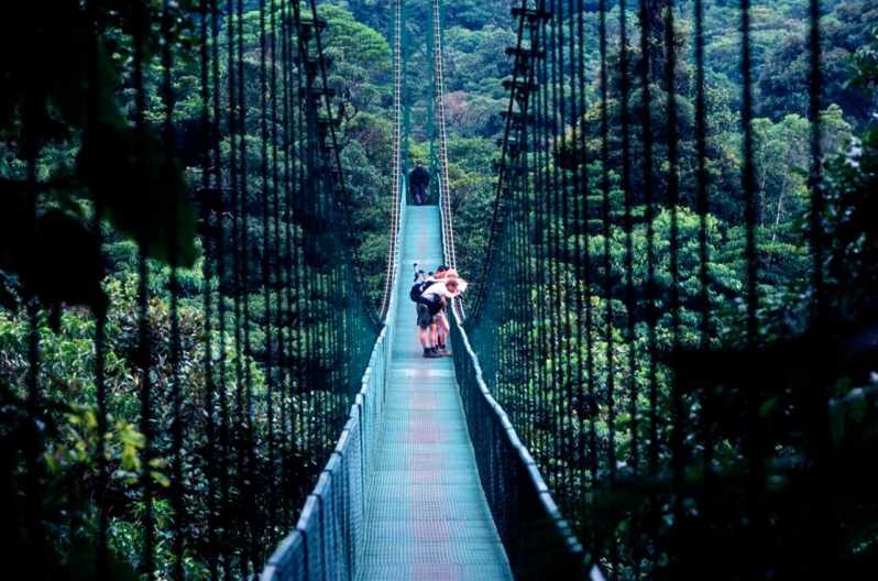 Monteverde: Excursión a los Puentes Colgantes del Parque Selvatura