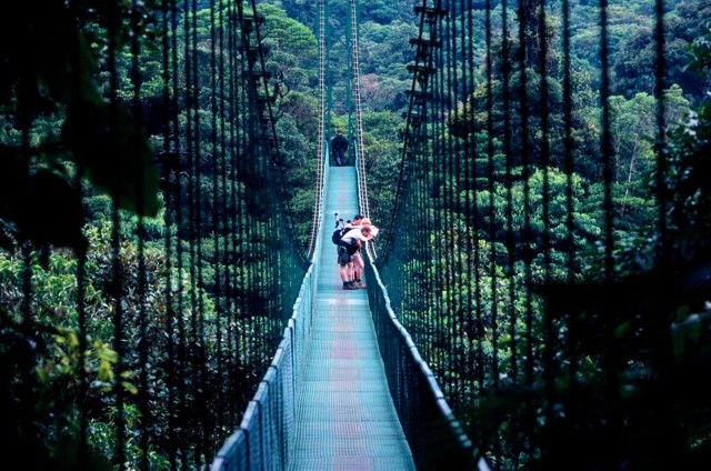 Hangende bruggen in Monteverde