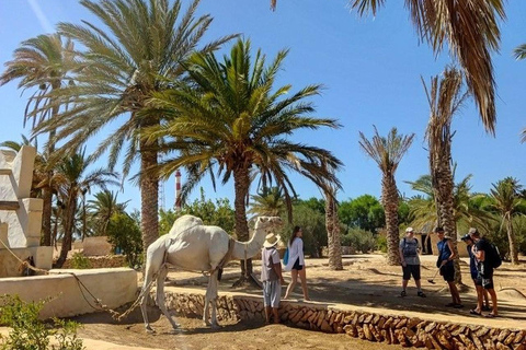 Djerba: Guellala Museum, Heritage, Photo Session, and Sunset Djerba: Discover Djerba's Traditions with a Photo Shoot