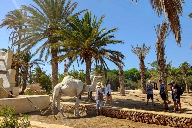 Djerba: Guellala Museum, Heritage, Photo Session, and Sunset Djerba: Discover Djerba's Traditions with a Photo Shoot