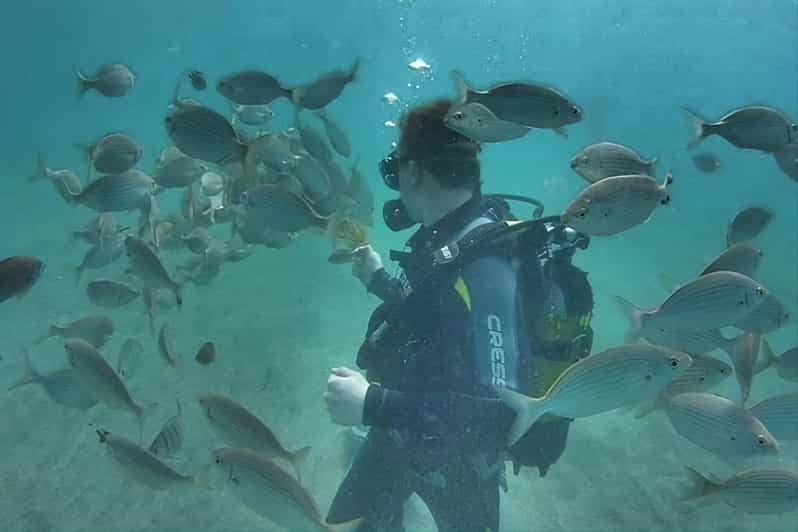 Antalya Kemer Scuba Diving Experience With Lunch Pick Up Getyourguide