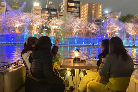 Osaka: Private Night Cruise Through the City of Water