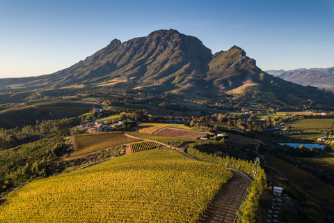 Kapsztad: prywatna wycieczka po winnicach z degustacją i lunchem