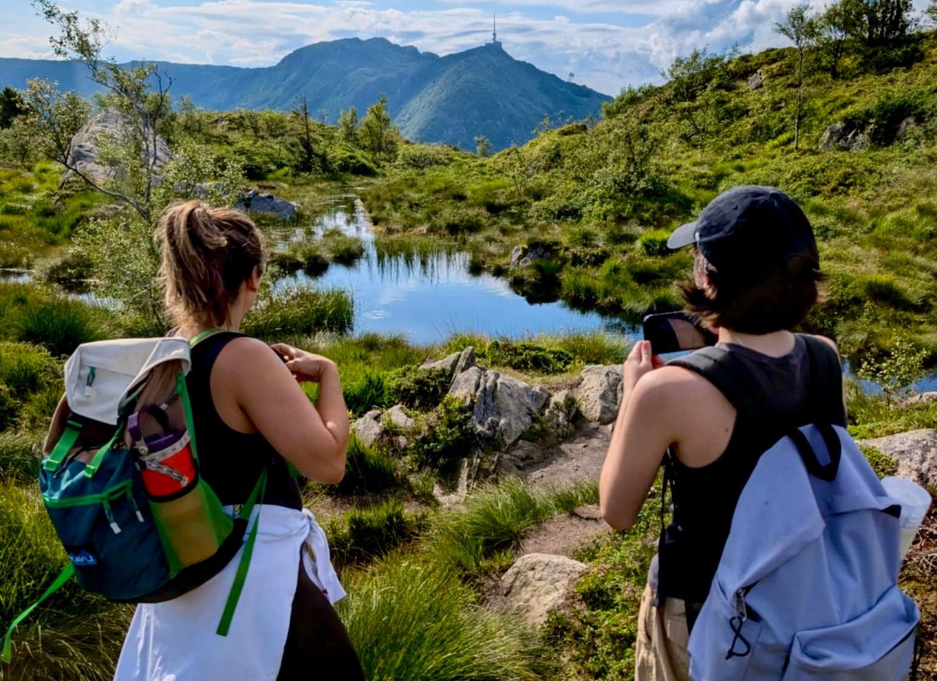 Bergen: Fjeldvandring på toppen af Bergen - Offentlig tur